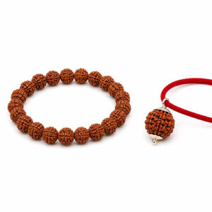 5 Mukhi Rudraksha Bracelet & 5 Mukhi Nepali Rudraksha Bead Combo