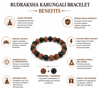 Rudraksha Karungali Bracelet 8mm – Natural Rudraksha and Karungali (Ebony Wood) Bracelet for Men & Women - Image 2